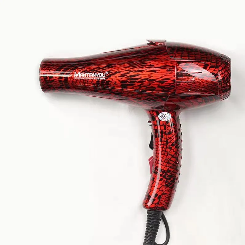 Private Brand AC Motor Hair Dryer 2 Heating 2 Speed Salon Hair Blow Dryer