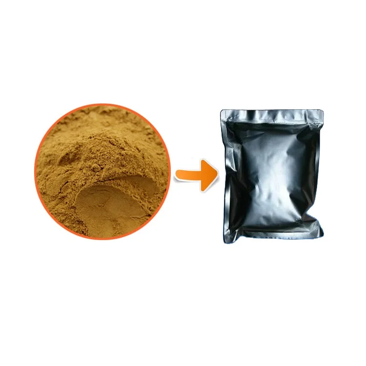 High quality shitake extract powder 10:1 shitaken mushroom extract powder
