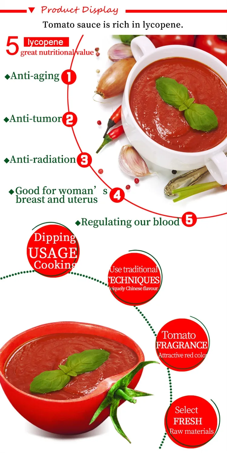 450g Squeeze Plastic Bottle Bulk Ketchup Tomato Paste