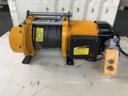 1000kg High Speed Portable 220V Electric Winch