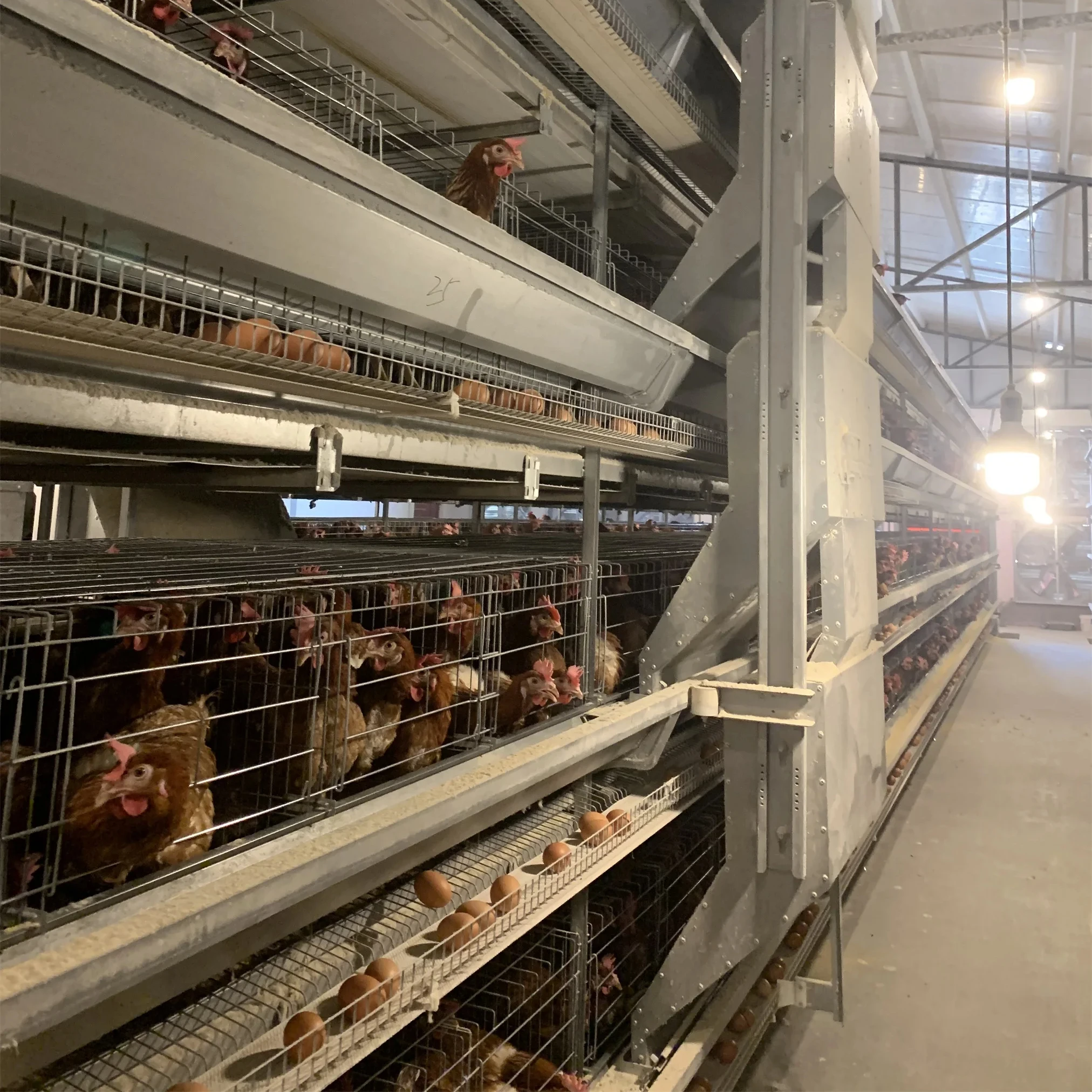 High Quality Automatic Animal Cages Poultry Farm Equipment Chicken Cages Egg Layer Battery Cage