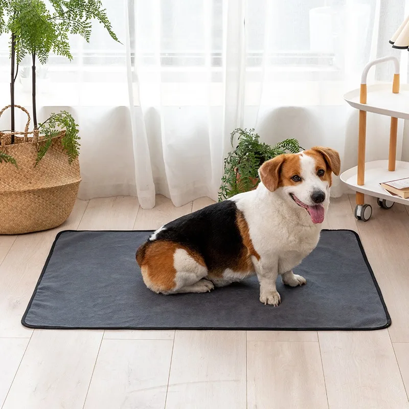 Pet Products Training Behavior Supplies Cleaning Pee Urine Pads Toilet Instruction For Cats Puppy Dog