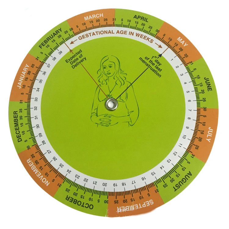 Zmiqu карта больничных колес Дешевый пользовательский калькулятор вращающийся стол для беременности срок родов линейка гинеколога