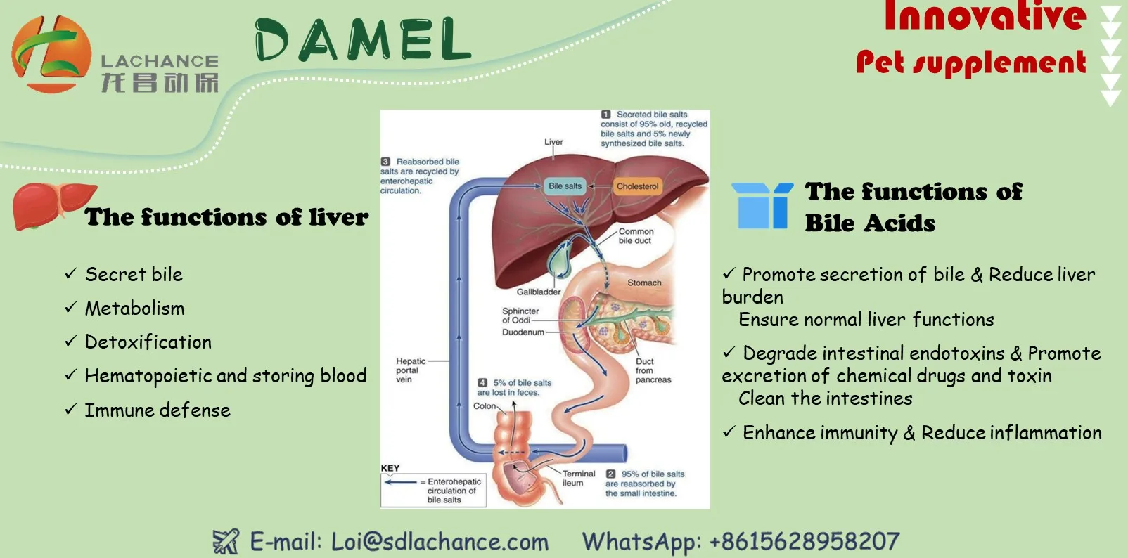 Horse feed additive--promote liver detoxification and reduce the liver burden | increased endurance | suitable for horses racing