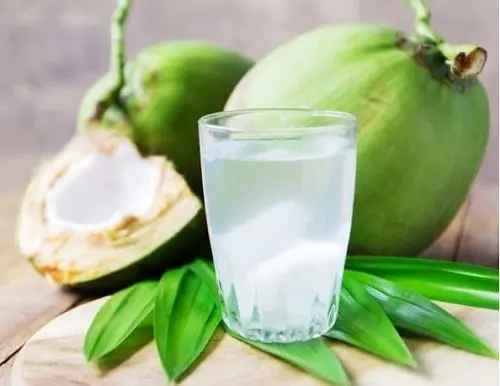 HOT HOT HOT Siamese Coconut Made in Viet Nam - Competitive price in the export market 2023