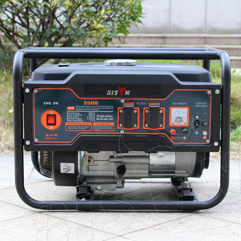 BISON(CHINA) Gasoline Generator Bs200 6.5Hp Gasoline Generator Cam Professional Generator Swiss Kraft