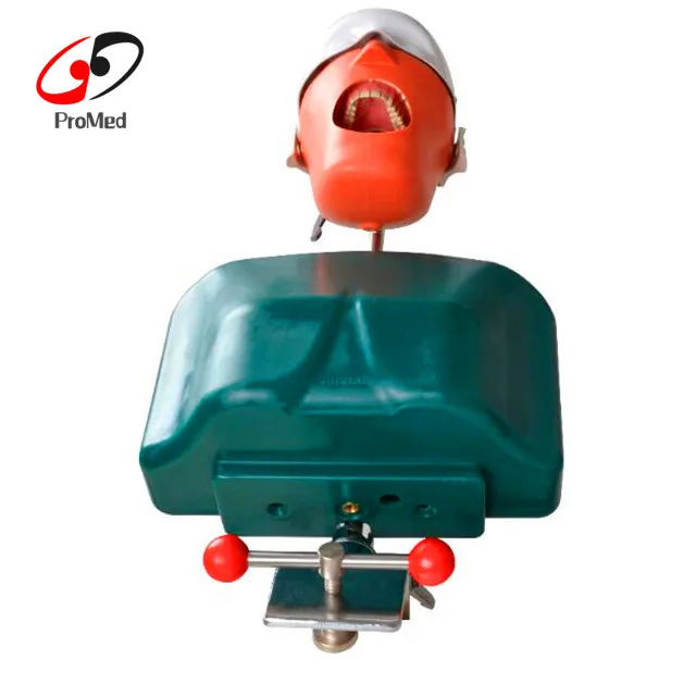 
Electronic chair dental simulation unit/dental light cure unit/dynamic portable dental unit 