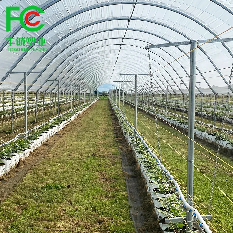 uv resistant ldpe film 200 micron greenhouse plastic for agriculture