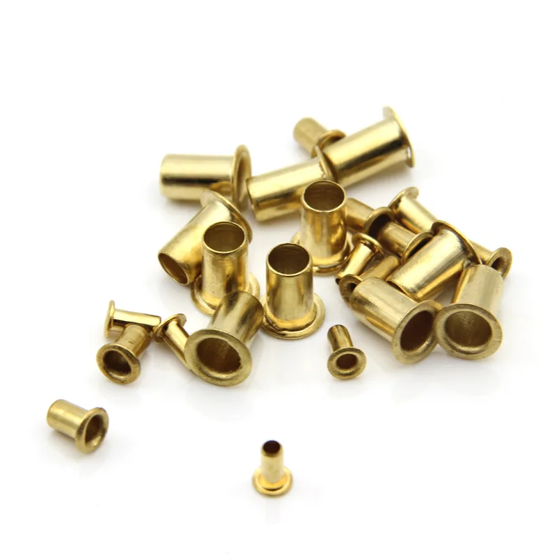 Application Industry M1.5-m6 Brass Copper Steel Hollow Soild Rivet