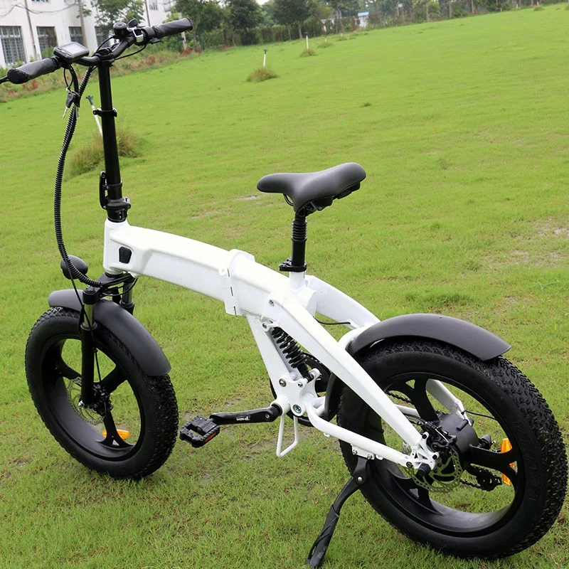 Dogebos 2023 NEW Electric Bicycle Foldable 250W/500W/750W 20 Inch Fat Tires 48v Lithium Battery Dropship Electric Bike Frame
