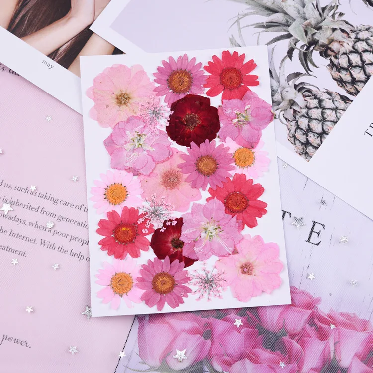 Beautiful Multiple Real Pressed Leaves Natural Dried Flowers for Art Craft Scrapbooking Card Making Resin Jewelry Craft DIY