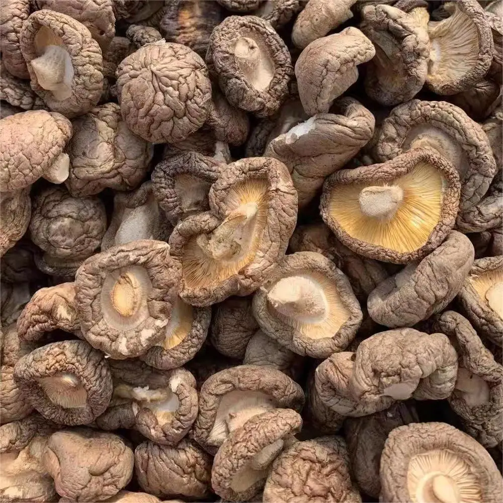 Type AA shiitake mushrooms dried mushroom