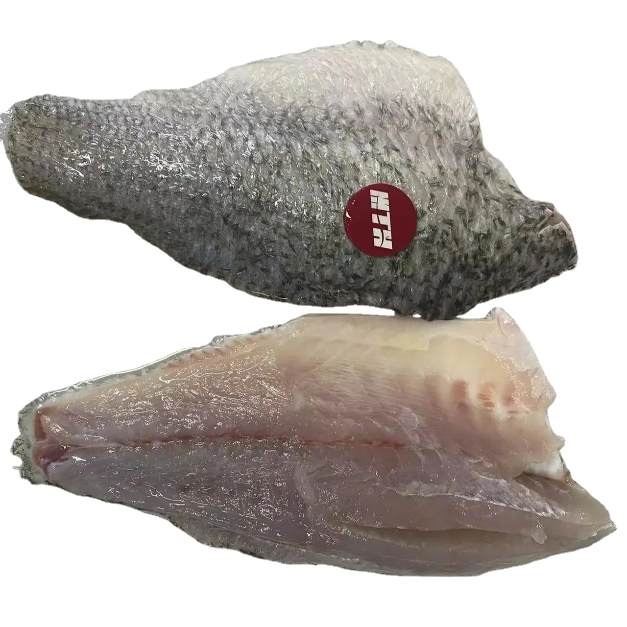 High Quality Frozen Barramundi Fillet with Low Price