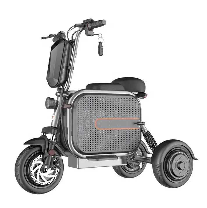 Outdoor 3 Wheel Electric Bicycle Scooter Electric Adult Mobility Disabled 3 Wheel Electric Bike for Adult