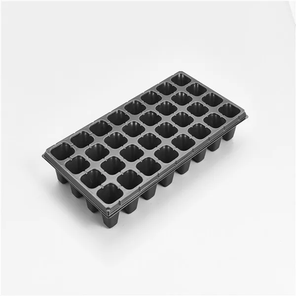 32 Cell Big Seeding Tray for Strawberry and Melons XQA32