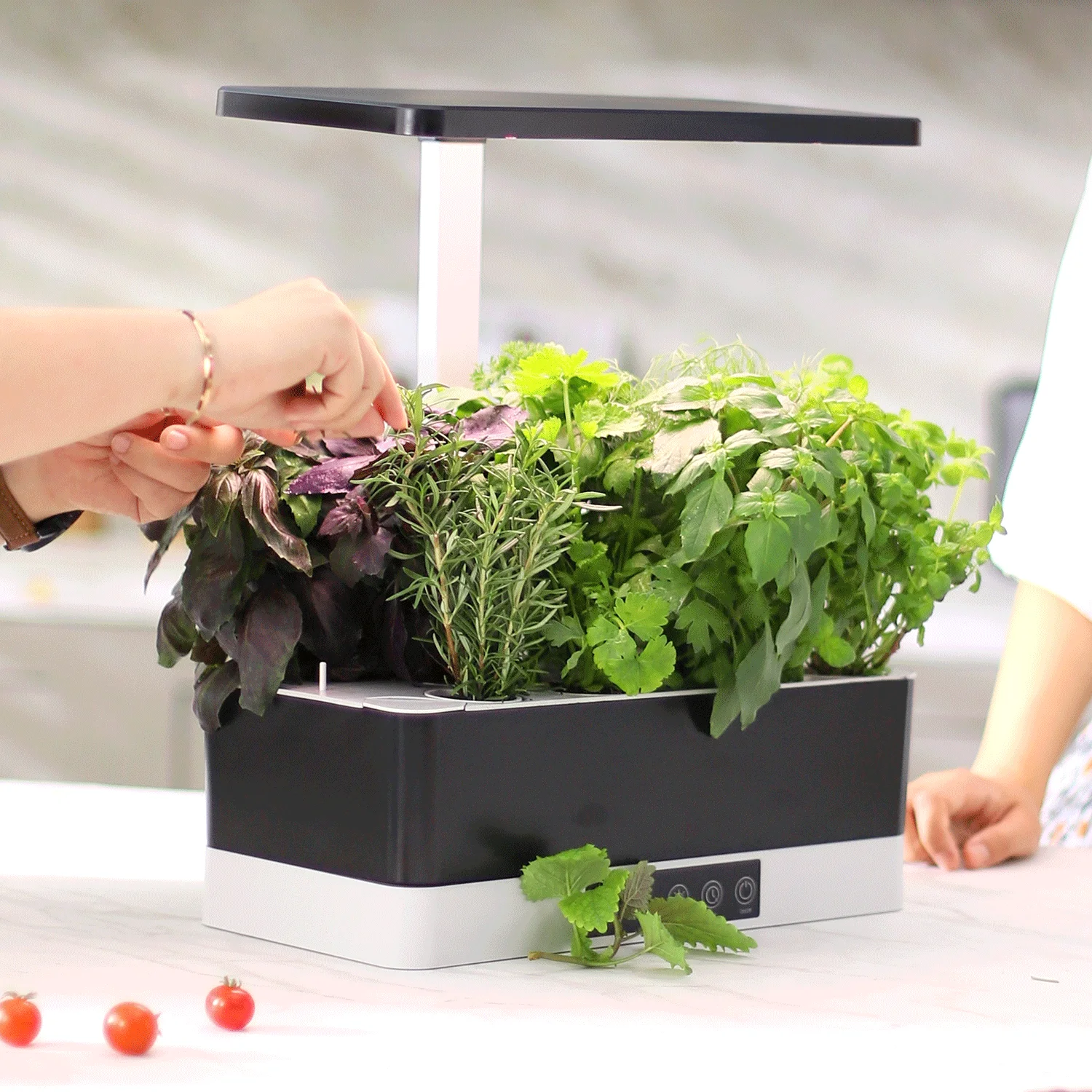 LED Indoor Garden led hydroponic growing system indoor herb garden kit intelligent plant pot