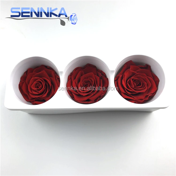 Preserved Real Flowers Natural Fresh Rose head