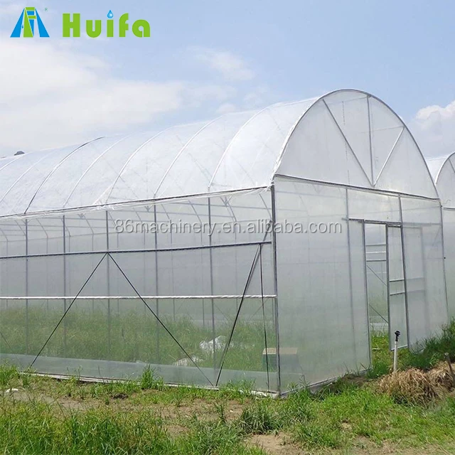 Коммерческий зеленый дом продажа в Китае сельское хозяйство теплица 40X60