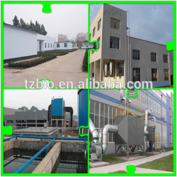 
High quality natural organic Cauliflower Sprout Powder 10:1 