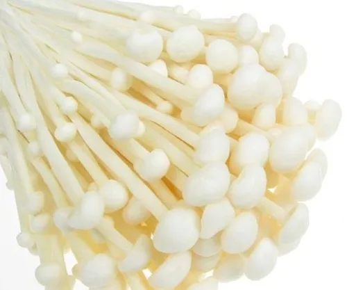 wholesale competitive price of  high quality fresh enoki mushroom
