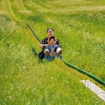 Best Sellers Unpowered Amusement Park Equipment Long Slide Grass Skiing Amusement Park Speed Grass Skiing