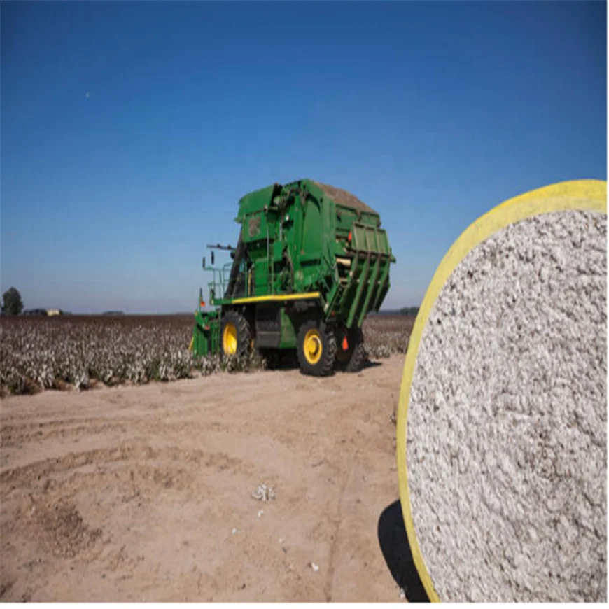 Yellow harvested cotton bales wrapped films