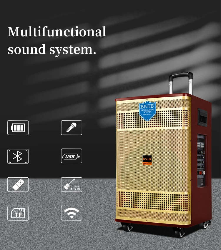 2022 New Products ODM Party Speaker Dancing Woofer Speaker With Mic Outdoor Speaker Display Wholesale