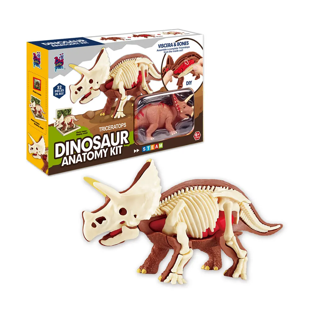 Diy Assembly Anatomy Plastic Model Educational Kid Learning 2024 Innovation Dinosaur Toys Set