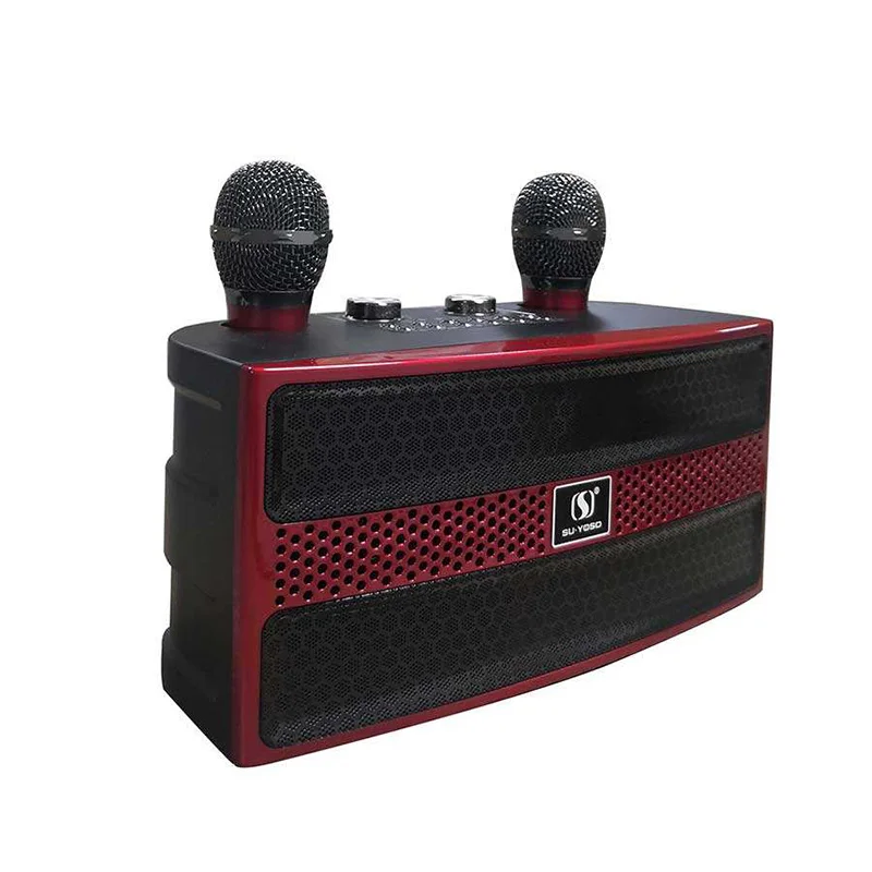 wholesale 20W subwoofer speaker With Double Microphones Home Party KTV 2 IN 1 portable outdoor wireless speaker Karaoke