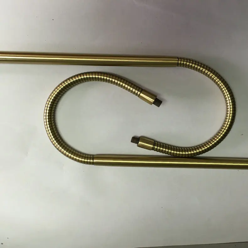 Custom high quality  Hardware brass hose lamp stainless steel hose flexible gooseneck tube