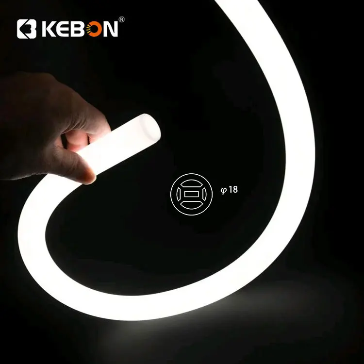 Warehouse Price 24V Holiday 7W Outside Waterproof IP67 Addressable Flexible Led Noen Decorative Light