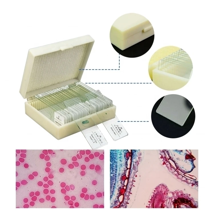 Factory Teaching Resources Educational Purpose Biology 100pcs Slices Human Histology Microscopy Specimen Preparation Slides
