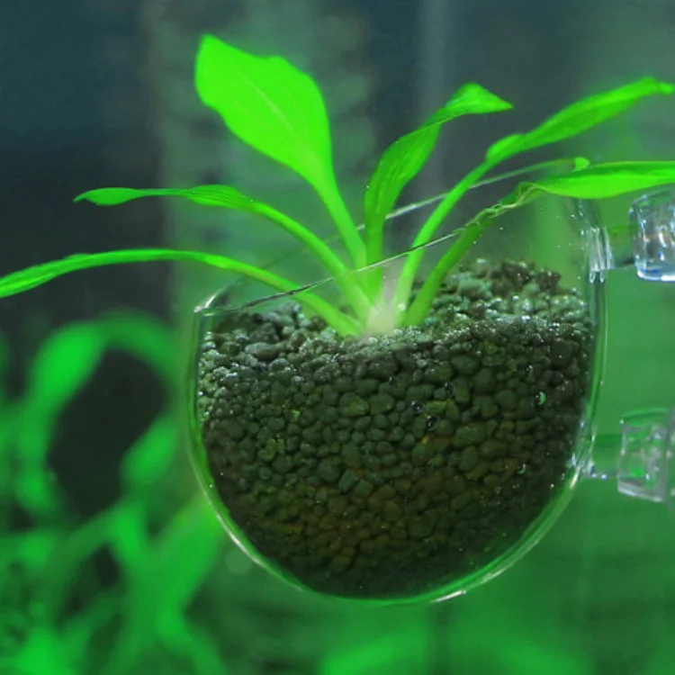 BRICE Succulents Cactus Fish Tank Planter Plant Pot with Shelf Suction Cup Round Shape Window Planter Suction Cup Plant Pot