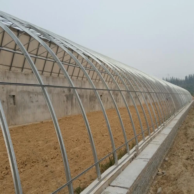 Solar plastic PO film Tomato Greenhouse with drip irrigation system