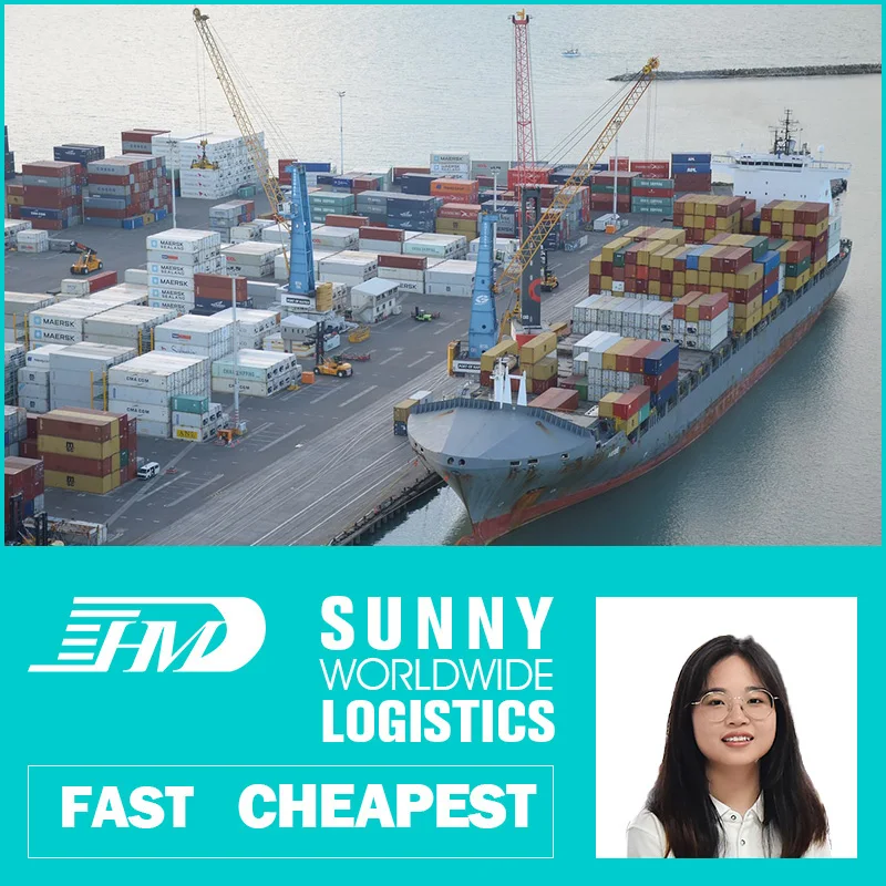 swwls ddp freight forwarder china qingdao ningbo to door sea shipping dubai miami cameroon