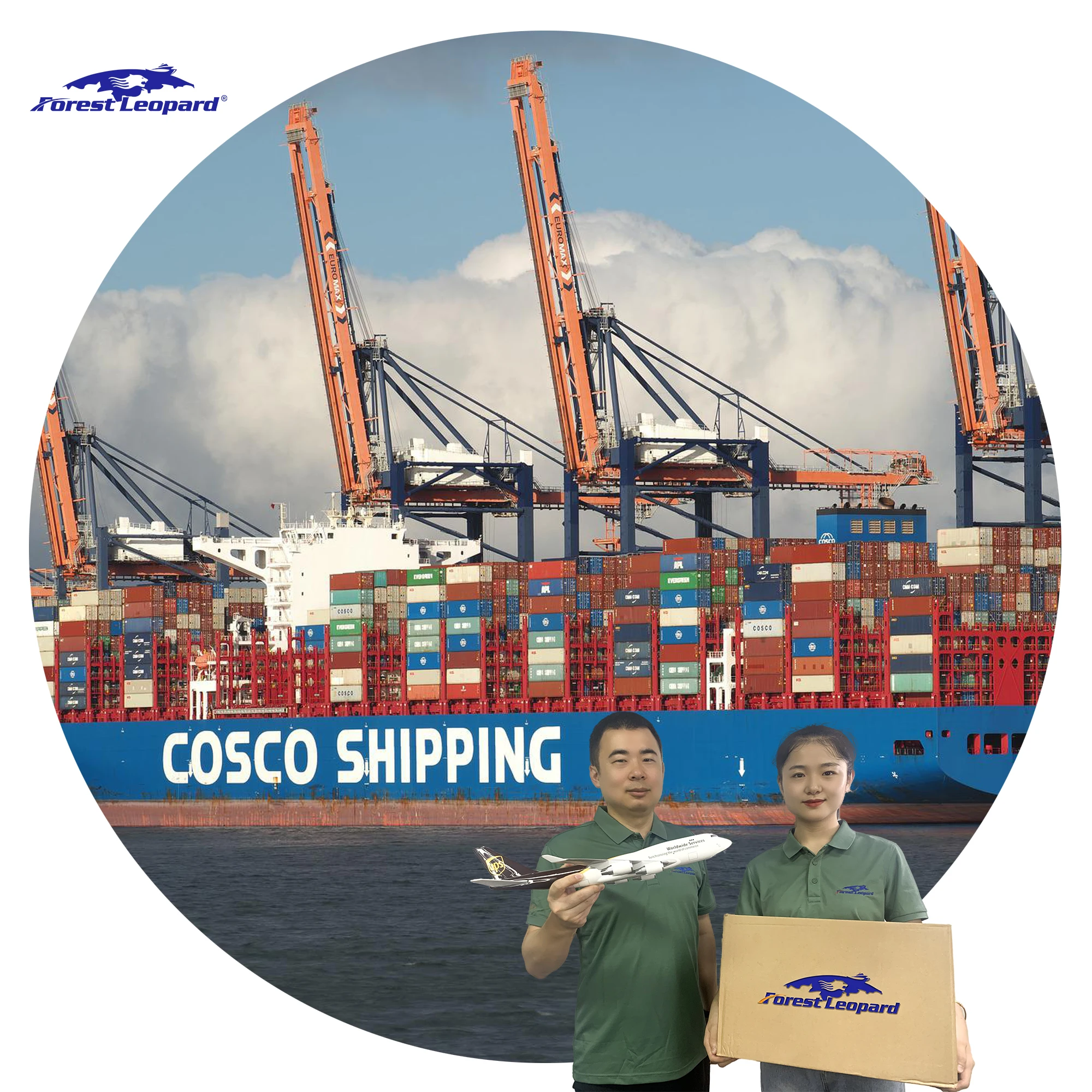 Free Sample Sea Shipment To Port Delivery Dhl Parcels SeaShipping Cargo Agent Freight To Worldwide Usa LAS1