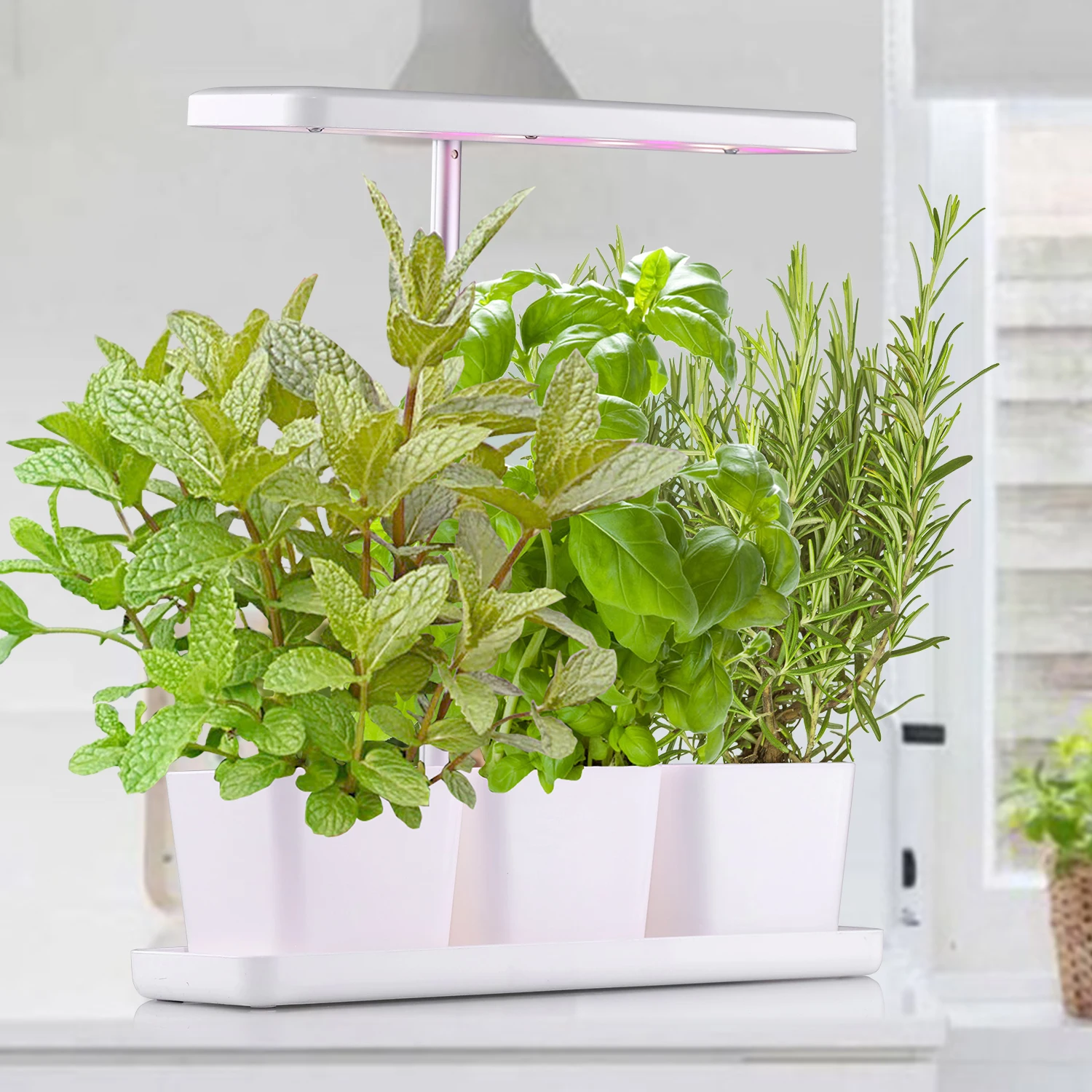 Multi-function LED indoor Grow light mini I shape microgreen growing system soilless herb garden kit mini garden indoor