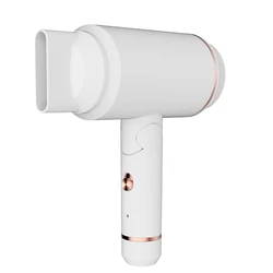 2022 Hot Sell wireless Hair Dryer Negative Ion Professional Quick-drying Household Electric Cold And Hot Air Hair Dryer