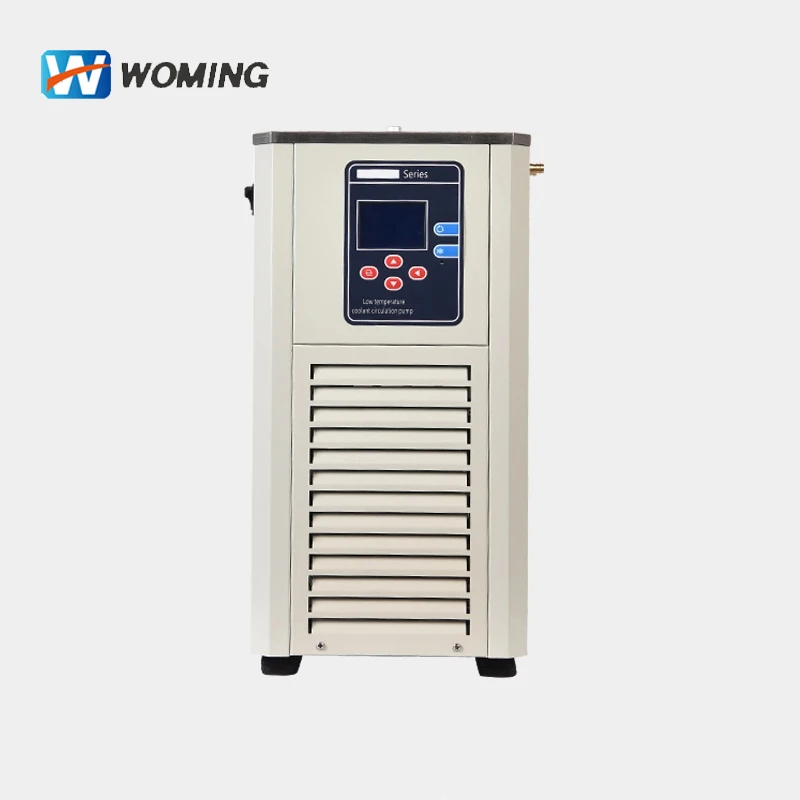 DLSB Series Factory Price Circulating Pump 100L -30C Recirculating Chiller DLSB-100/30