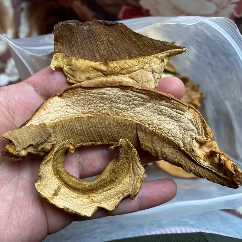 export Dried Frozen Boletus Slices / Wholesale Boletus Edulis Dried