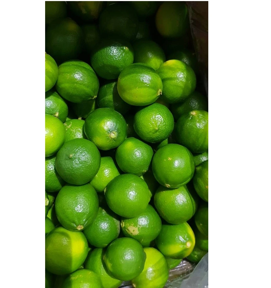 Натуральный Свежий лайм без семян, высокое качество, свежий лимон/свежий лайм/зеленый цитрус/зеленый лайм без семян из Вьетнама