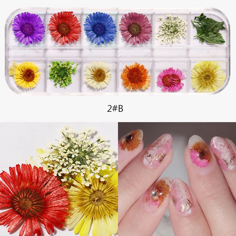 Real Natural Dry Flowers 3D Art Sticker For Nails Decals Charms Nail Decorations