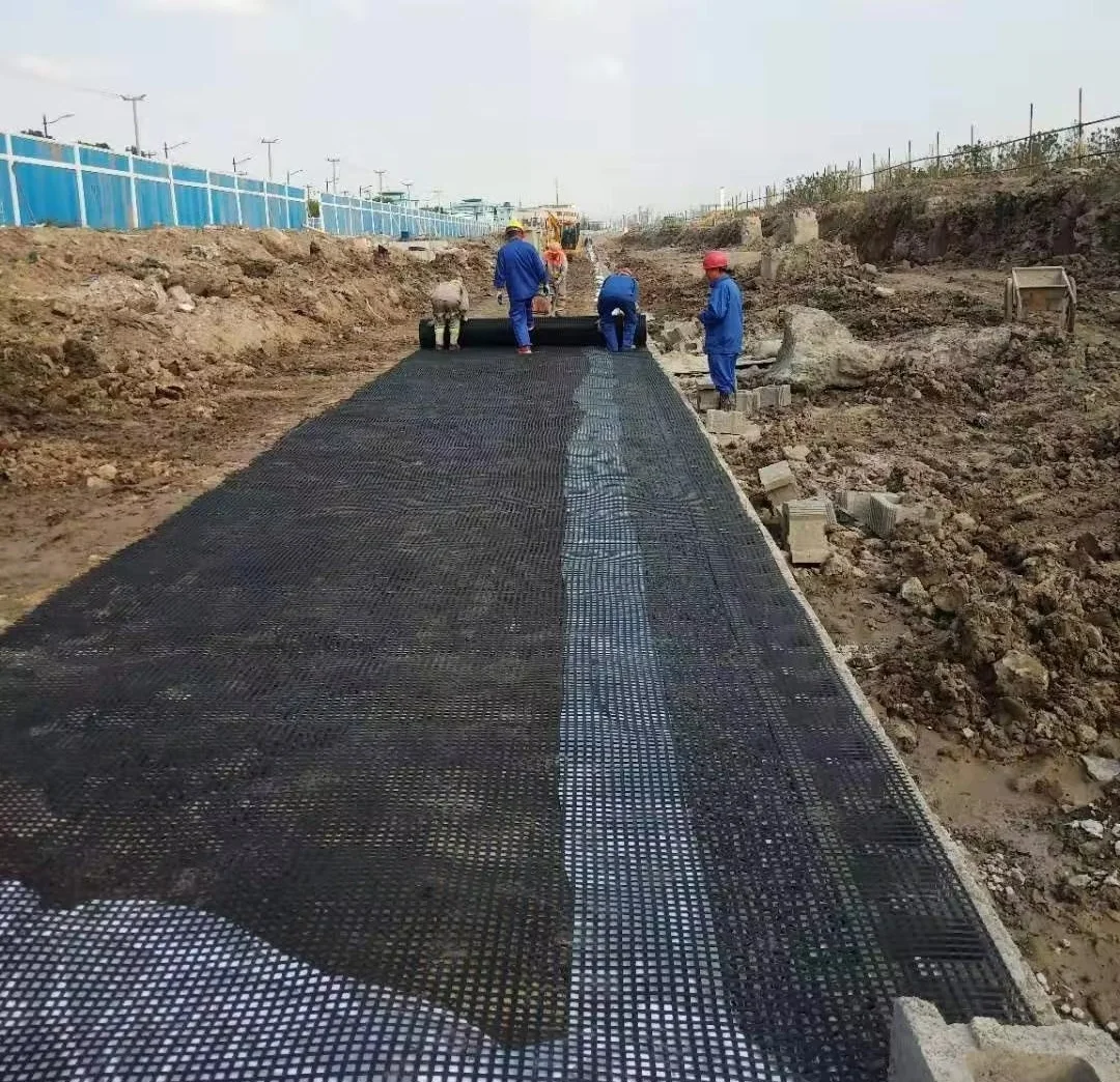 China factory price Fiberglass Geogrid Polypropylene Biaxial Geogrid Prices For Road Construction