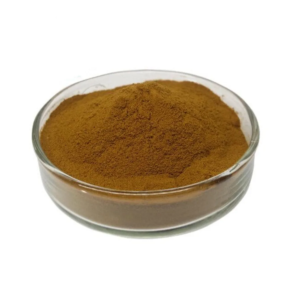 Antrodia Camphorate Mushroom Extract Powder 10:1 Antrodia Camphorate Extract Powder