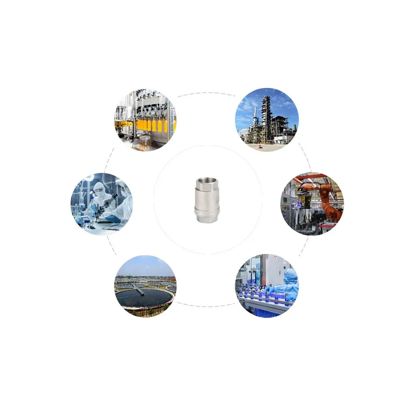 304 stainless steel wire check valve H12W lift internal thread vertical check valve BSPT check valve