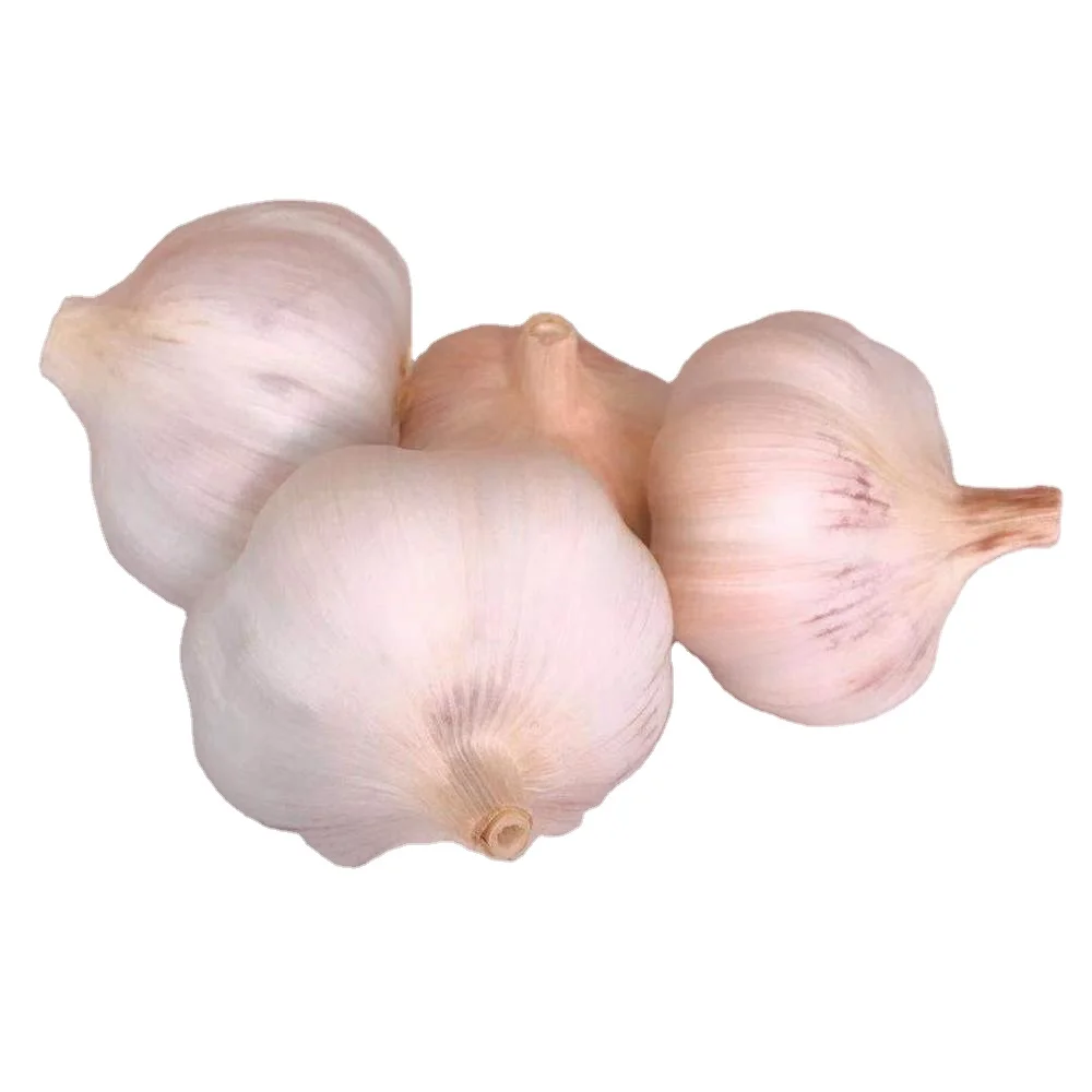 China/Chinese Fresh White Garlics Supplier (red garlic/white garlic) 500G/1KG