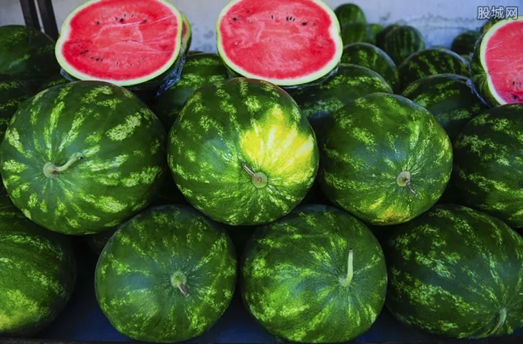 Middle maturity good disease resistance hybrid f1 watermelon seeds for