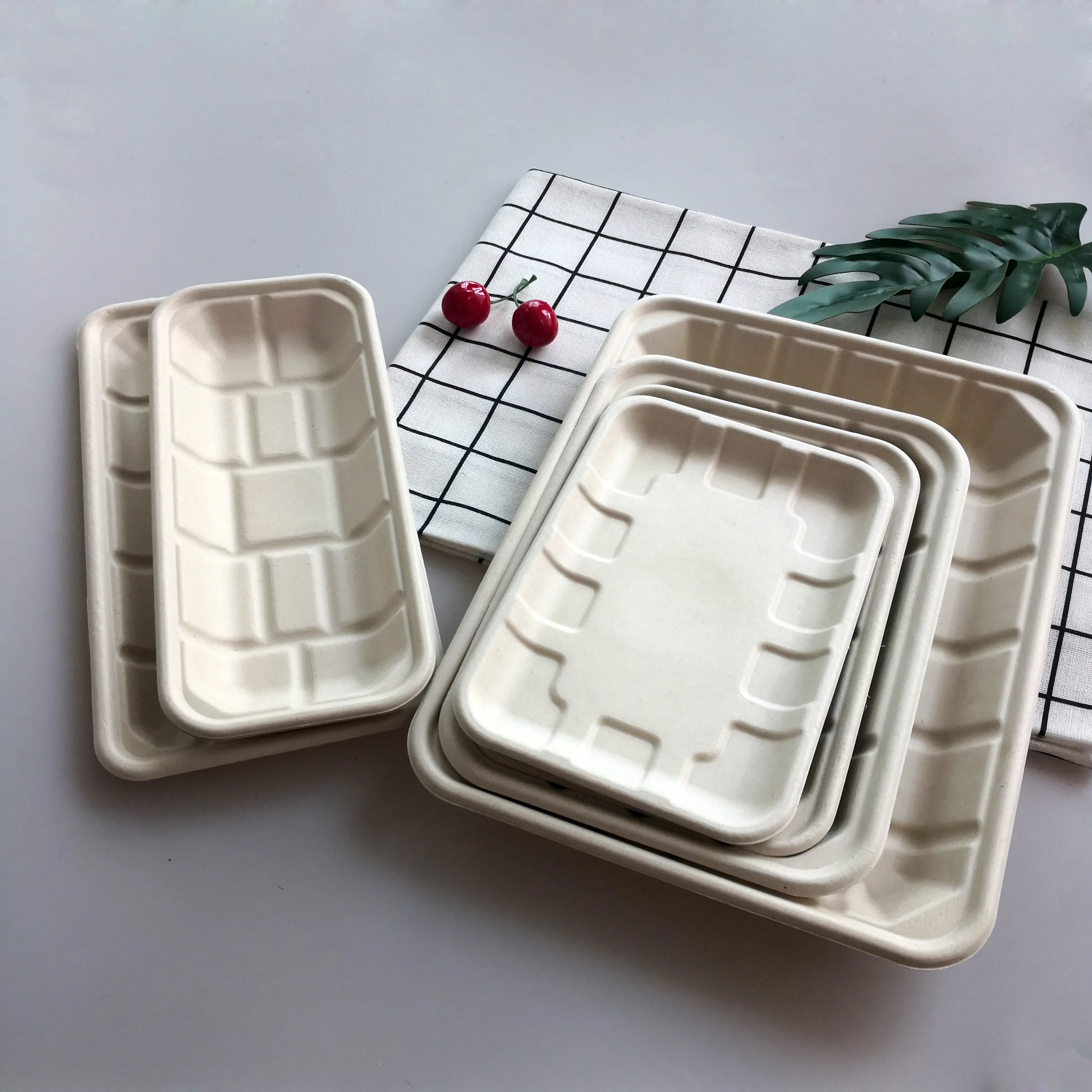 10Inch Hollowware Tableware Disposable Bbq Fast Food Rectangular Shaped Trays Serving Supermarket Meat Tray