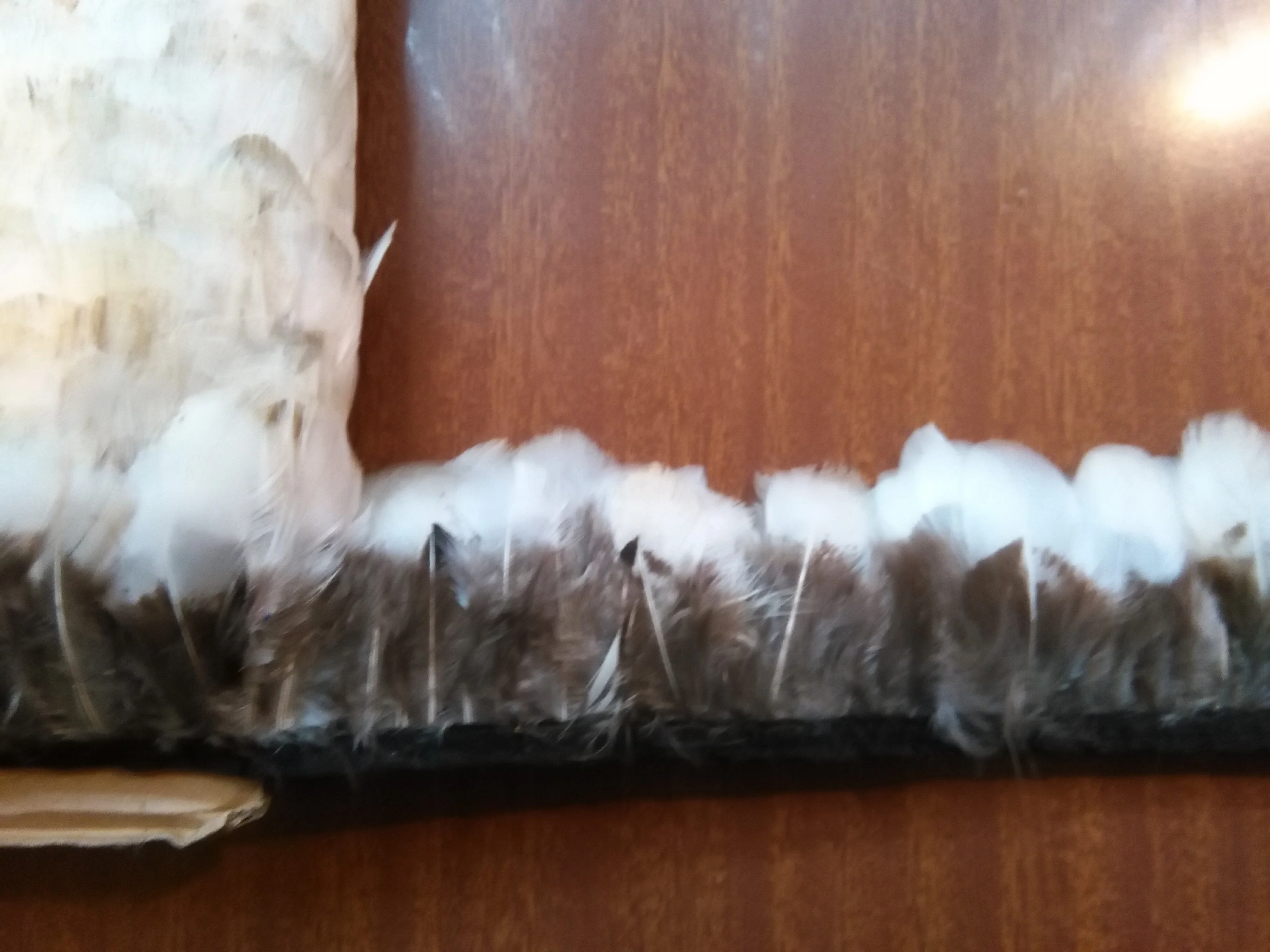 China Feather factory wholesale Natural Red Rooster Saddle Feather Fringe trim with satin ribbon tape