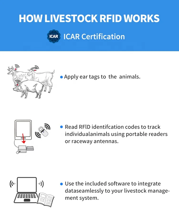 CH0001+CH0012 Livestock RFID 134.2khz Low Frequency Ear Tag  ICAR Identify for animal Pig
